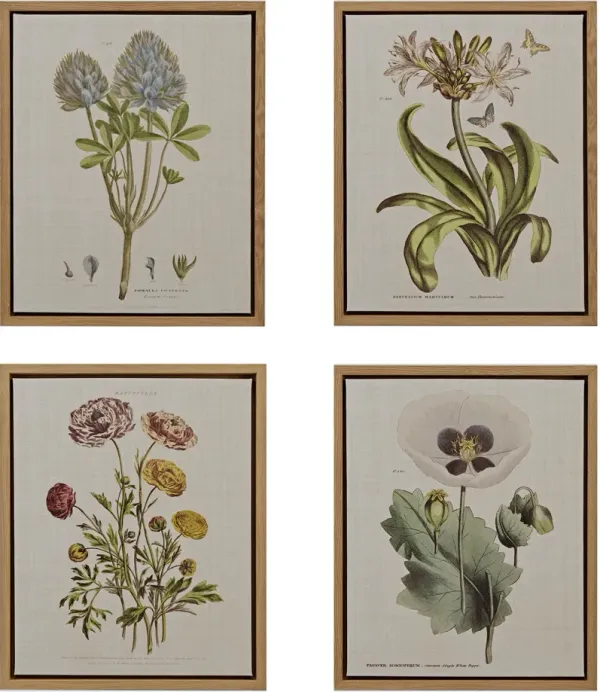 Bloomer 4-Piece 22'' x 18'' Wall Art Set