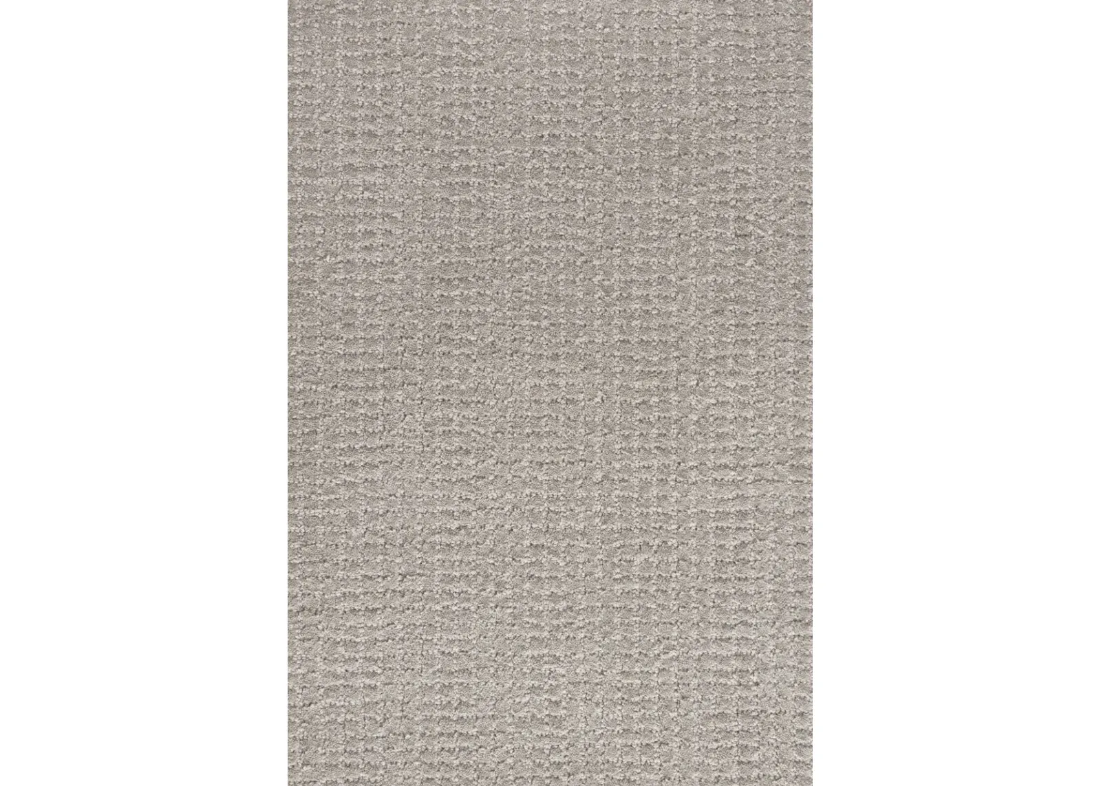 Sparks 8' x 10' Area Rug - Ivory