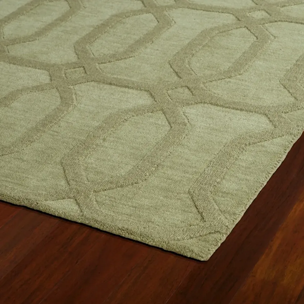 Fender 2' x 3' Area Rug - Sage