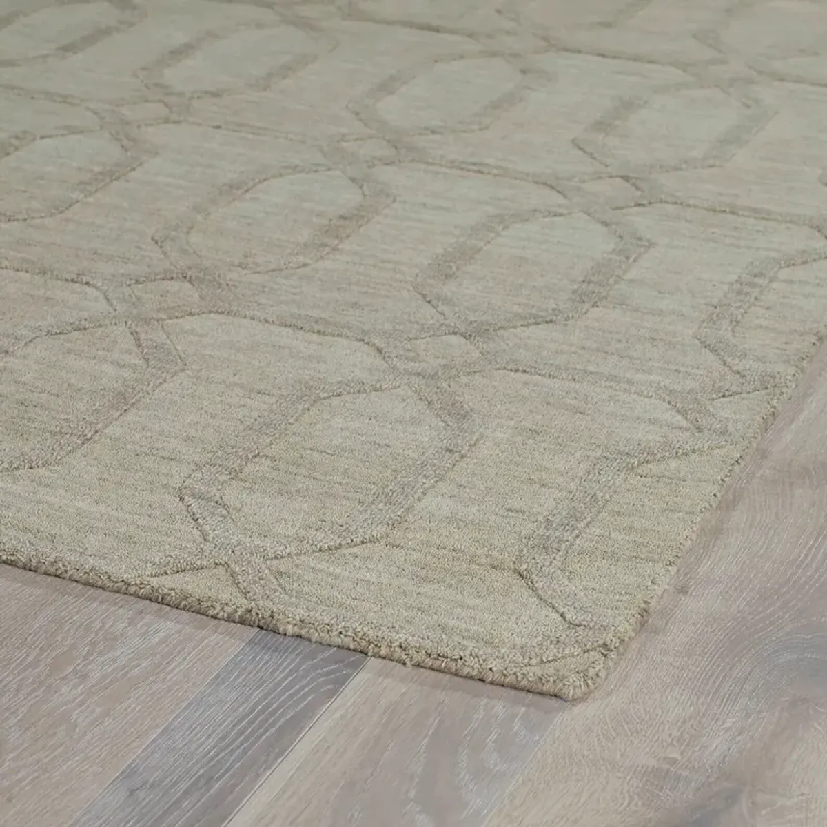 Fender 2' x 3' Area Rug - Oatmeal