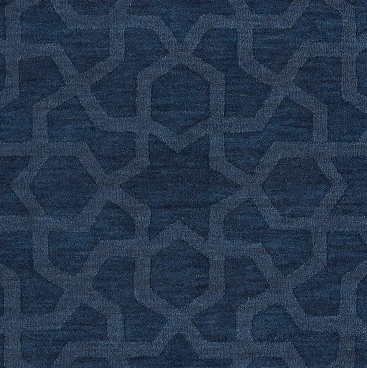 Texas 5' x 8' Area Rug - Navy