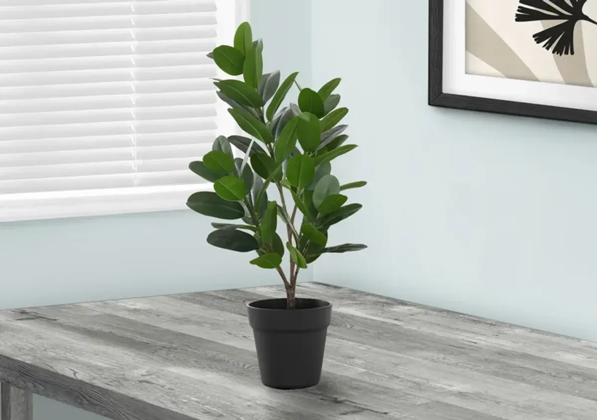 Faux 2' Garcinia Tree with Black Planter