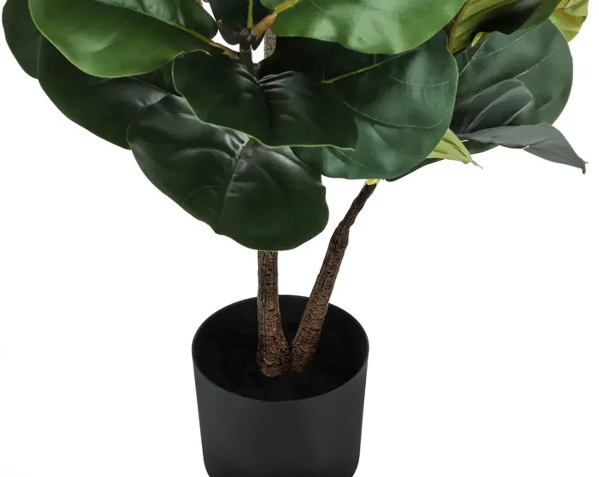 Faux 4' Fiddle Leaf Fig Tree with Black Planter