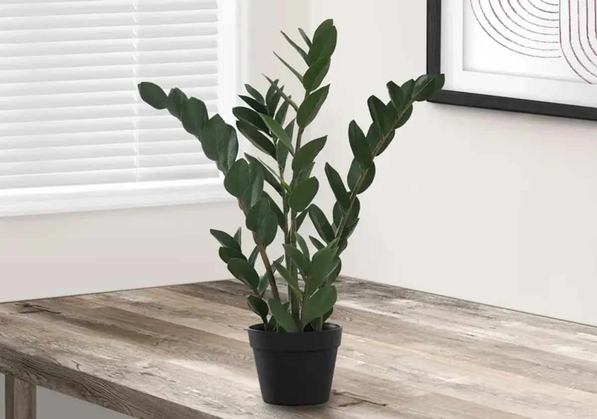 Faux 2' ZZ Plant with Black Planter