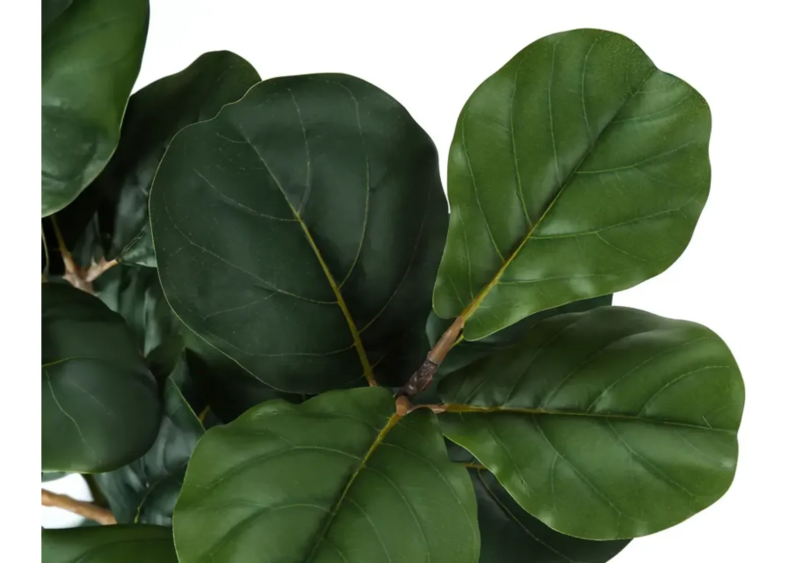 Faux 2' Fiddle Leaf Fig Tree with Black Planter