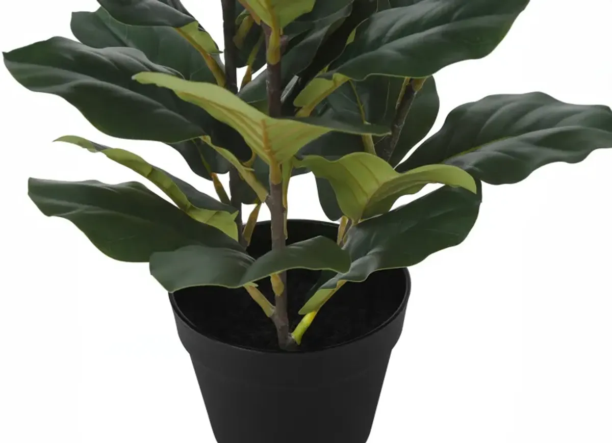 Faux 2' Fiddle Leaf Fig Tree with Black Planter