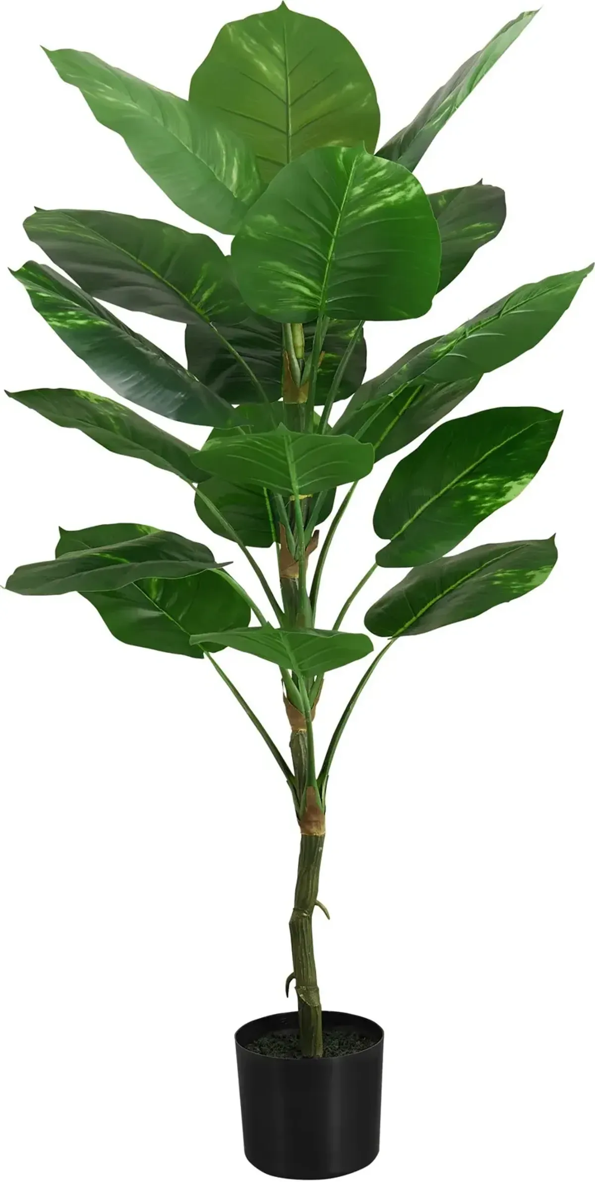 Faux 4' Dieffenbachia Tree with Black Planter