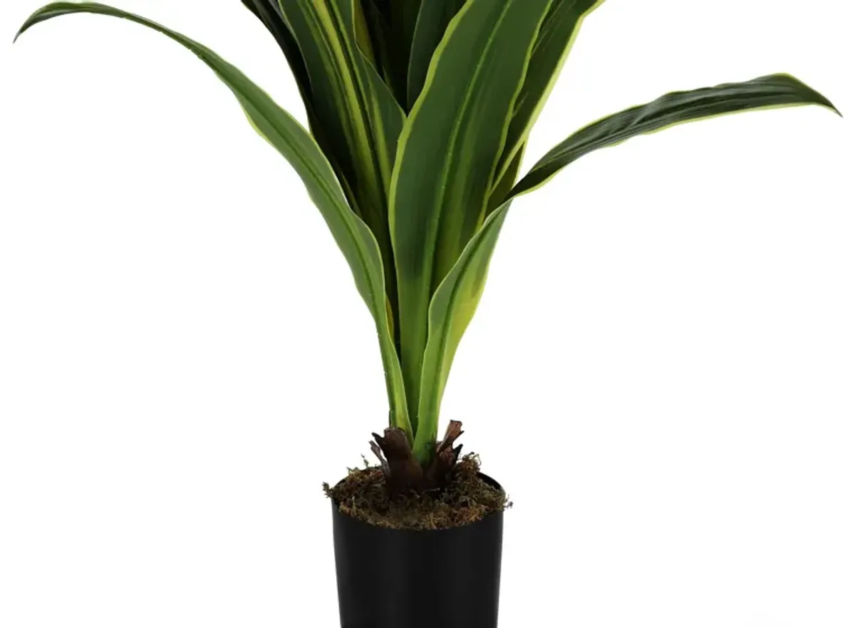 Faux 3' Dracaena Tree with Black Planter