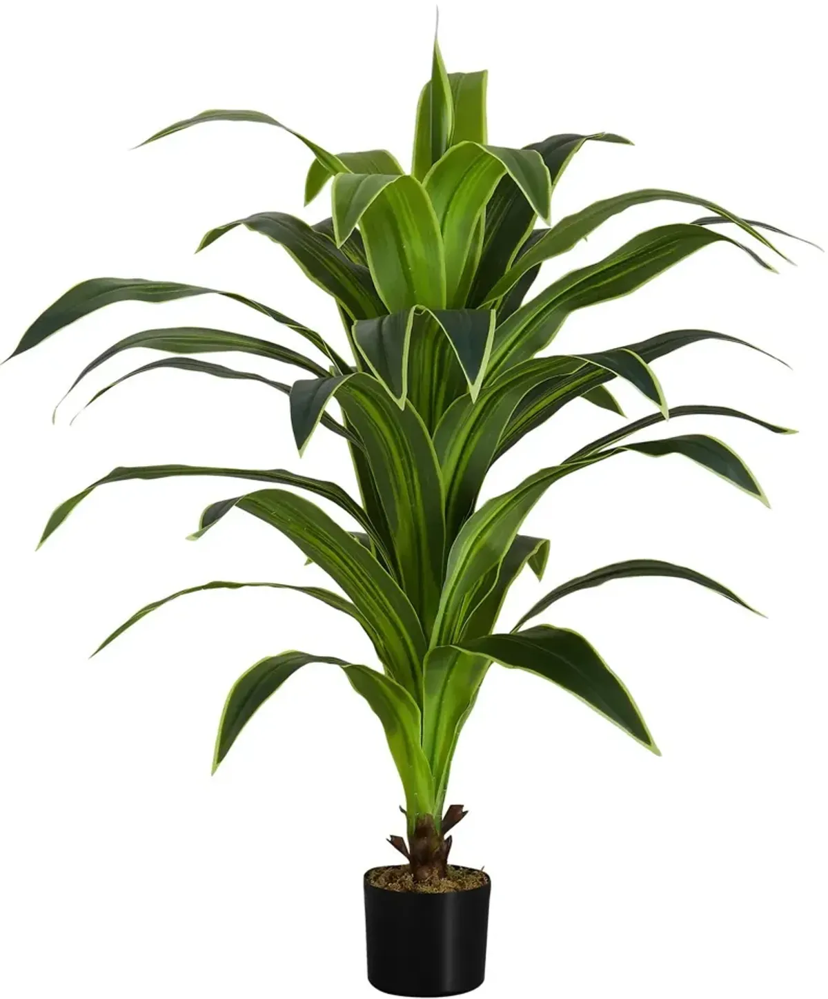 Faux 3' Dracaena Tree with Black Planter