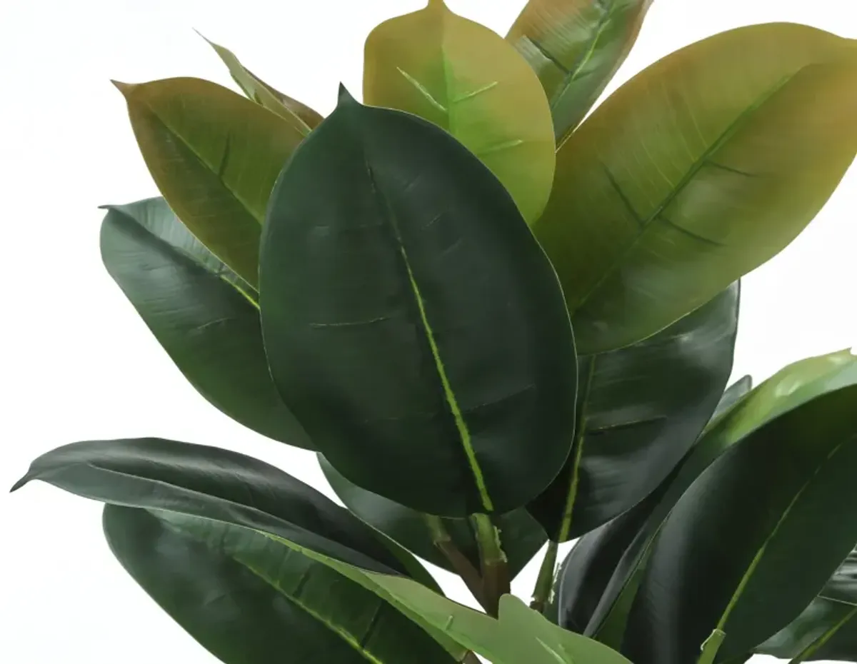 Faux 3' Rubber Tree with Black Planter