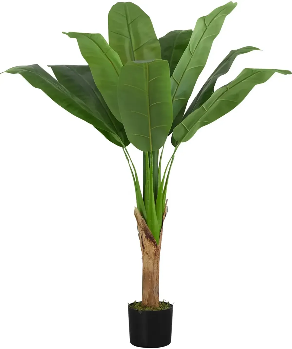 Faux 3' Banana Tree with Black Planter