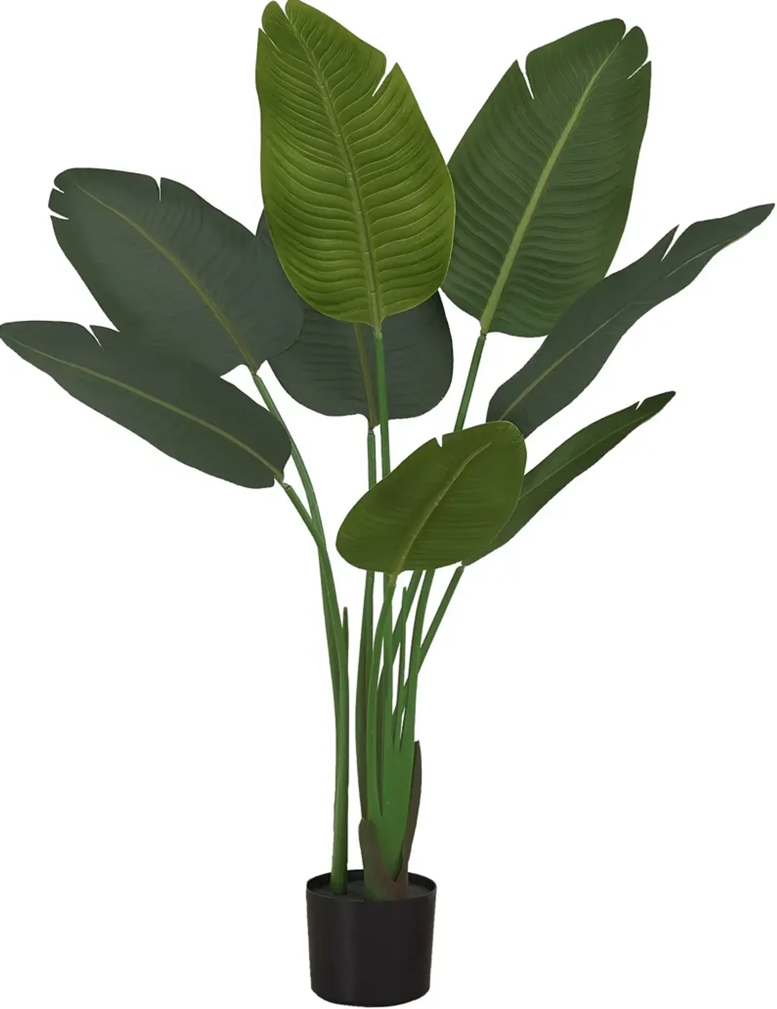 Faux 3' Bird of Paradise Tree with Black Planter