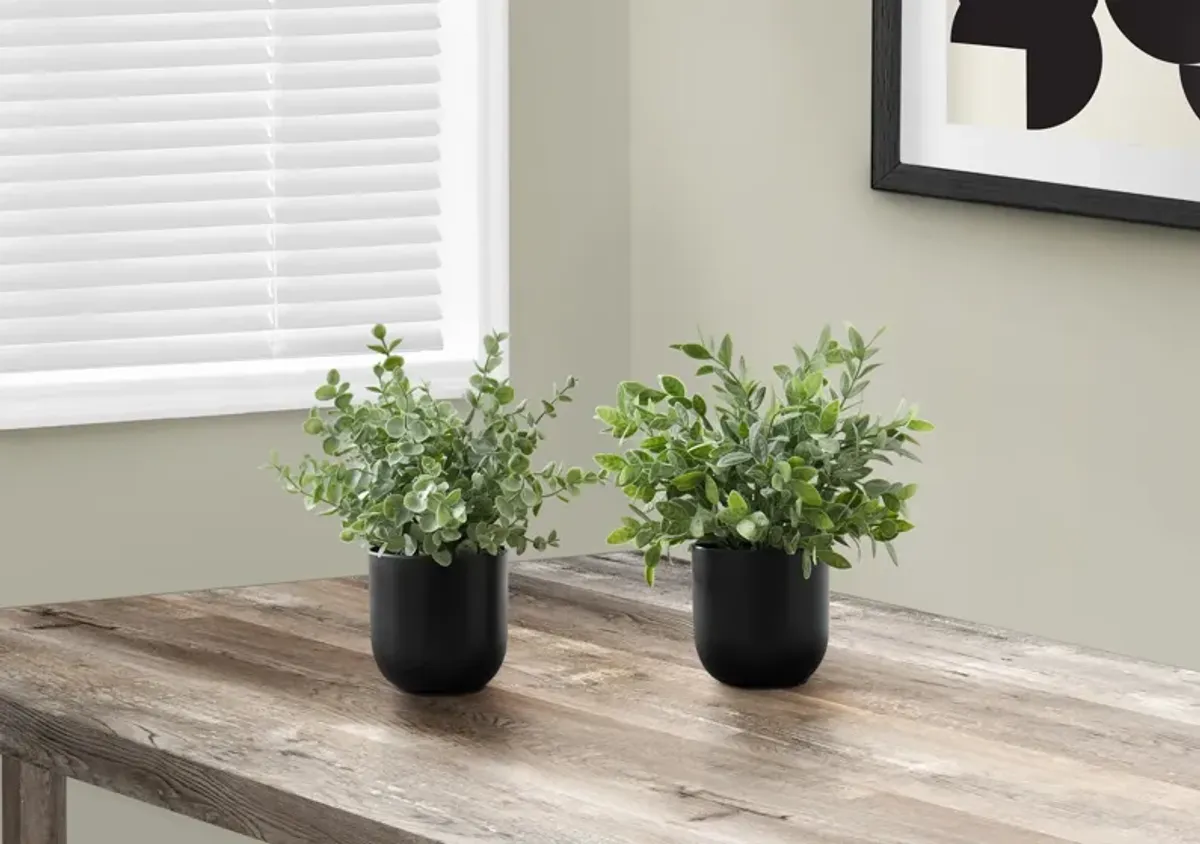 Set of 2 Faux 1' Eucalyptus with Black Planter