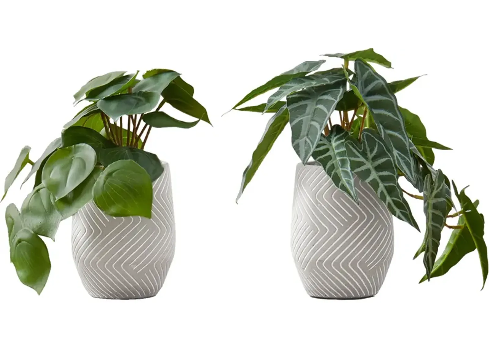 Set of 2 Faux Alocasia with White Planters