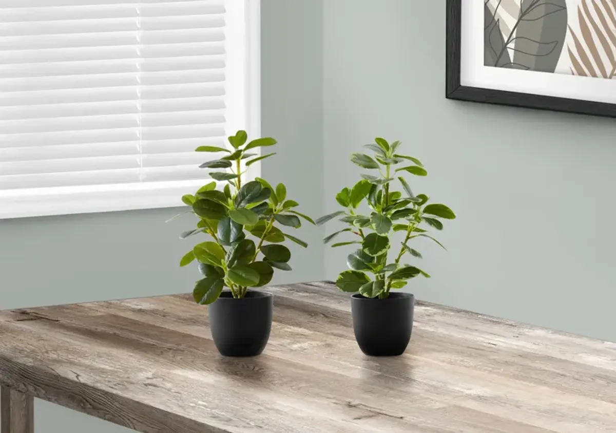 Set of 2 Faux 1' Ficus Tree with Black Planters