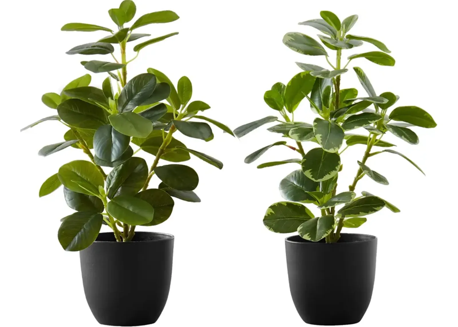 Set of 2 Faux 1' Ficus Tree with Black Planters