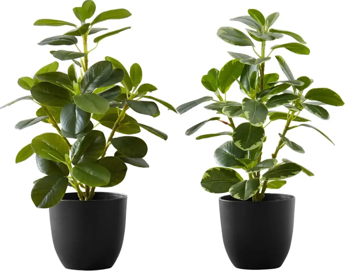 Set of 2 Faux 1' Ficus Tree with Black Planters