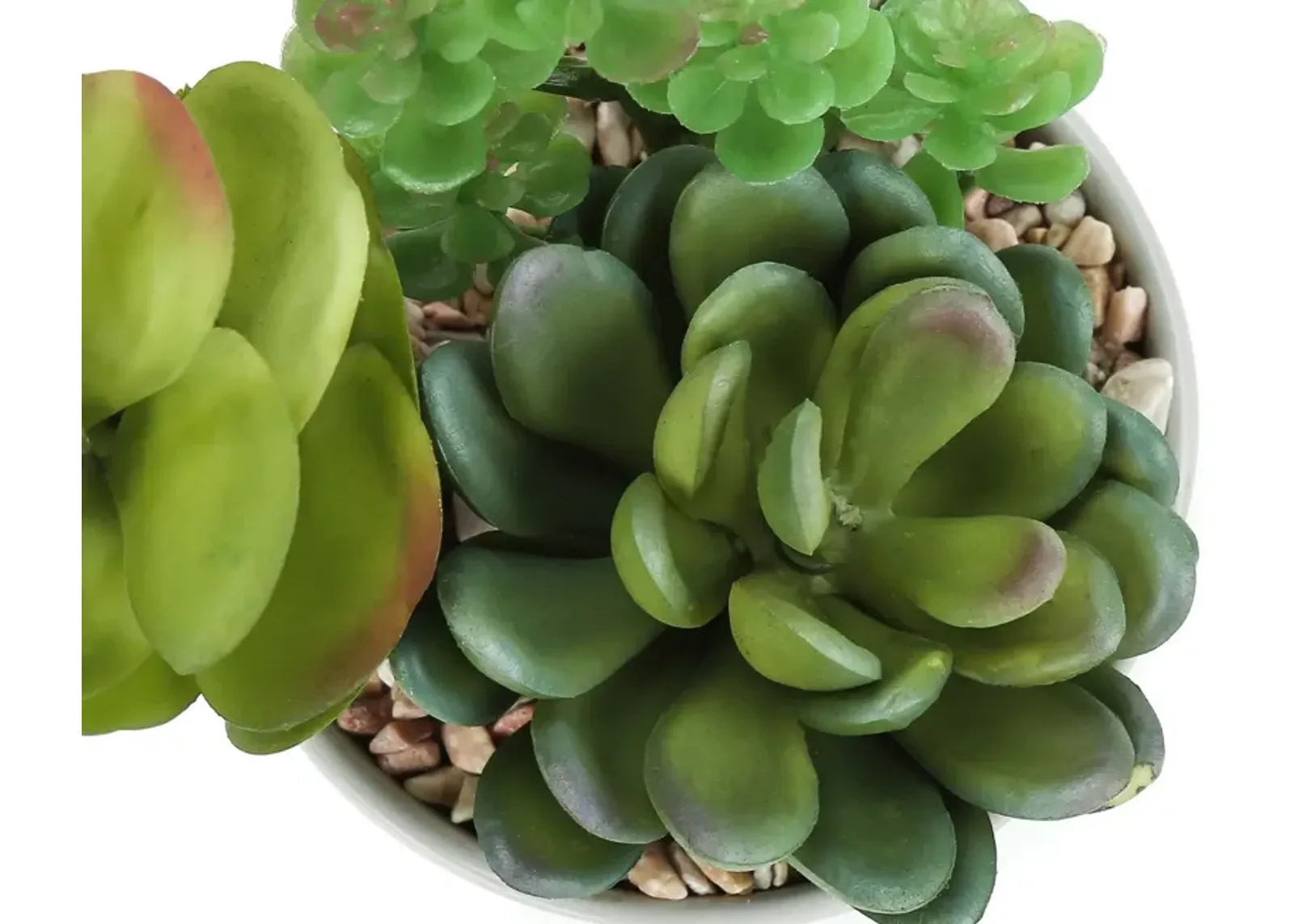 Set of 2 Faux Succulent with White Planters