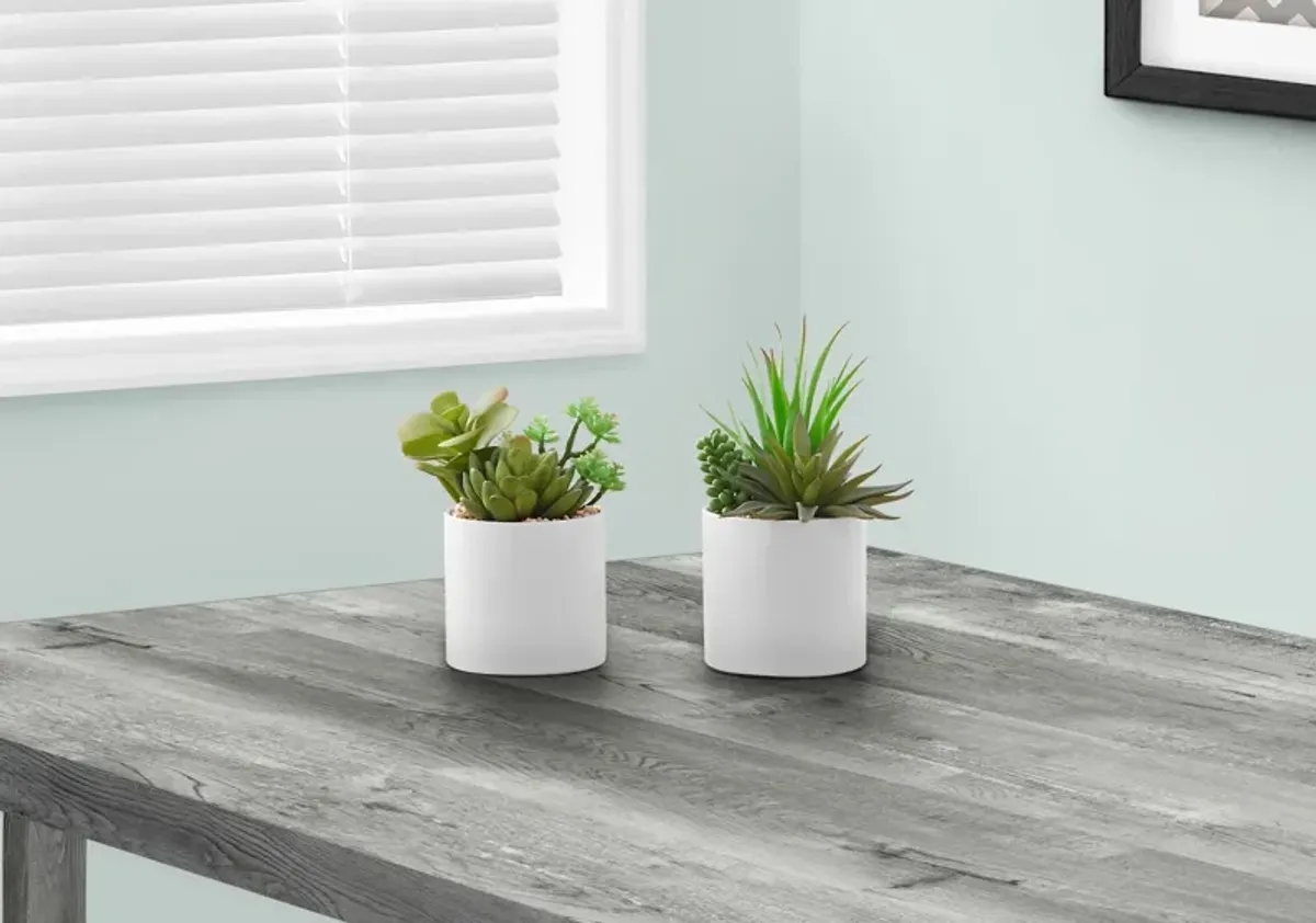 Set of 2 Faux Succulent with White Planters