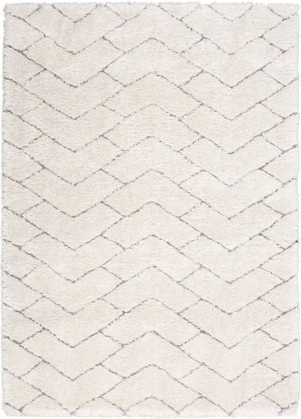 Lana Shag 5' x 7' Area Rug - Ivory/Gray