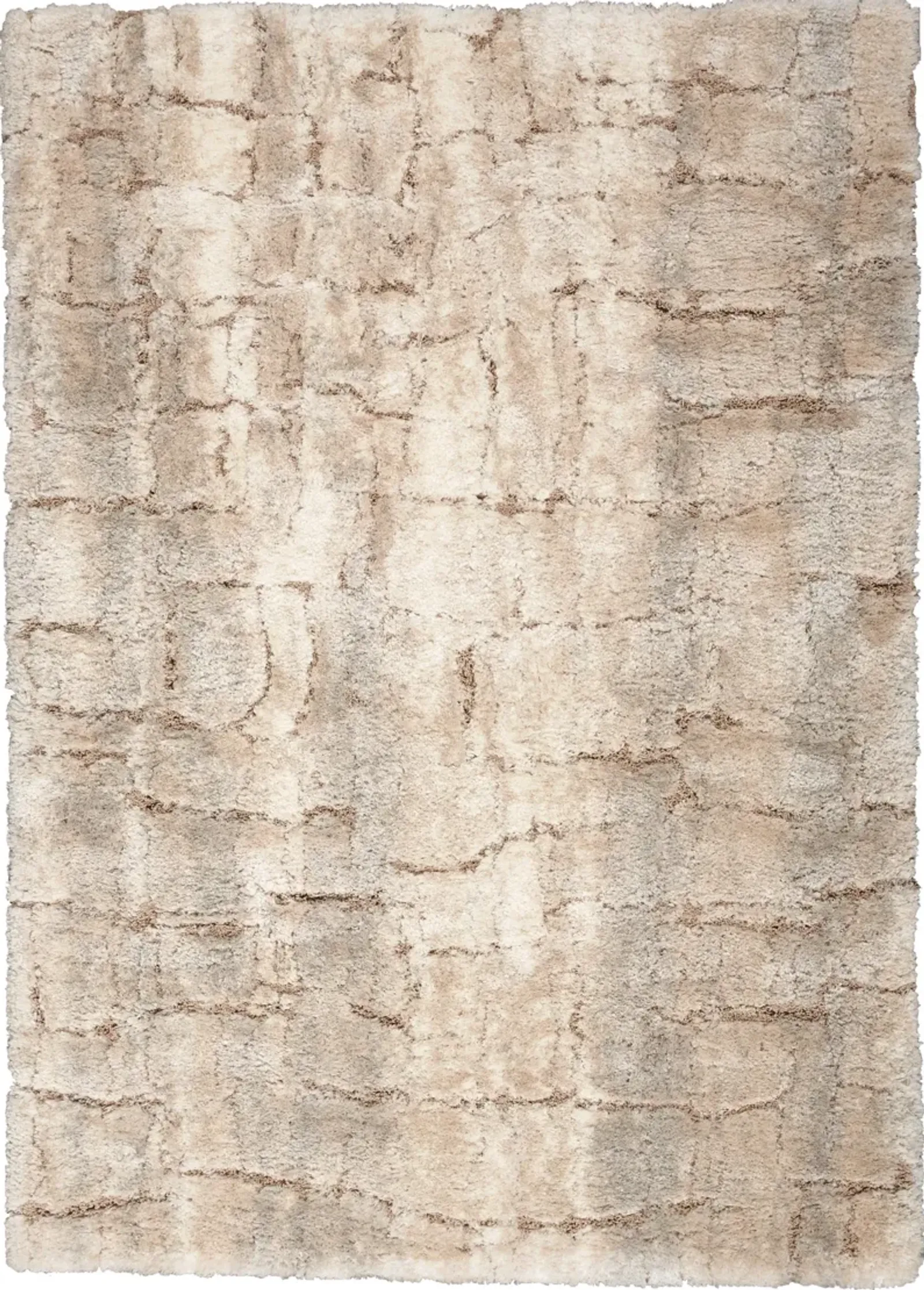 Lana Shag 5' x 7' Area Rug - Ivory/Beige