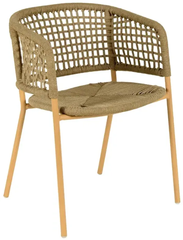 Plano Outdoor Dining Chair