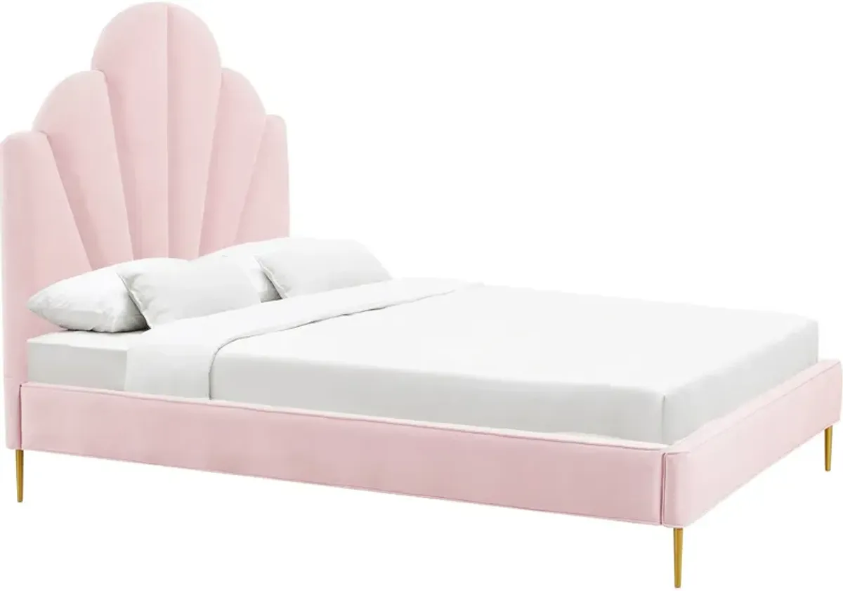 Conch Upholstered Platform Queen Bed