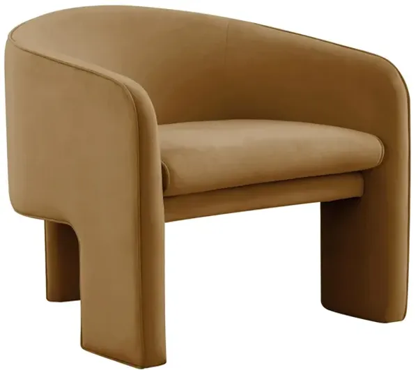 Gary Accent Chair