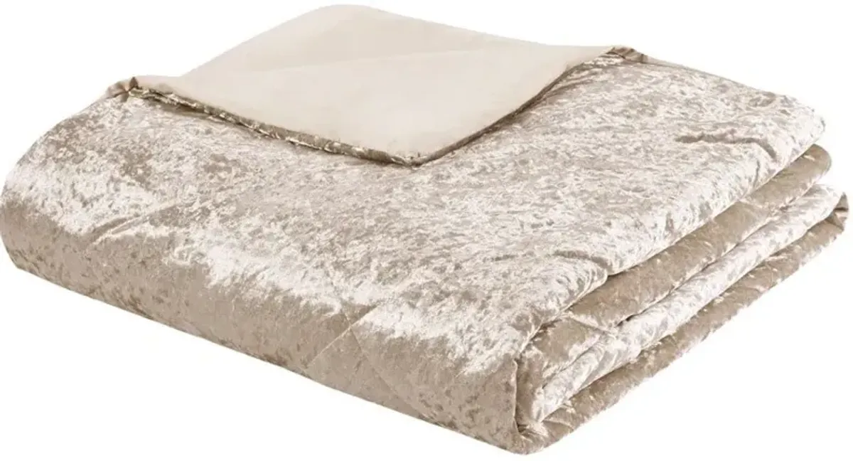 Briella King/California King Duvet Cover Set - Champagne