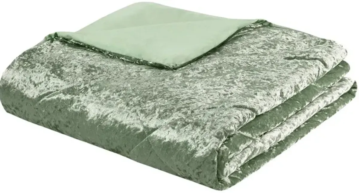 Briella Twin/Twin XL Duvet Cover Set - Green