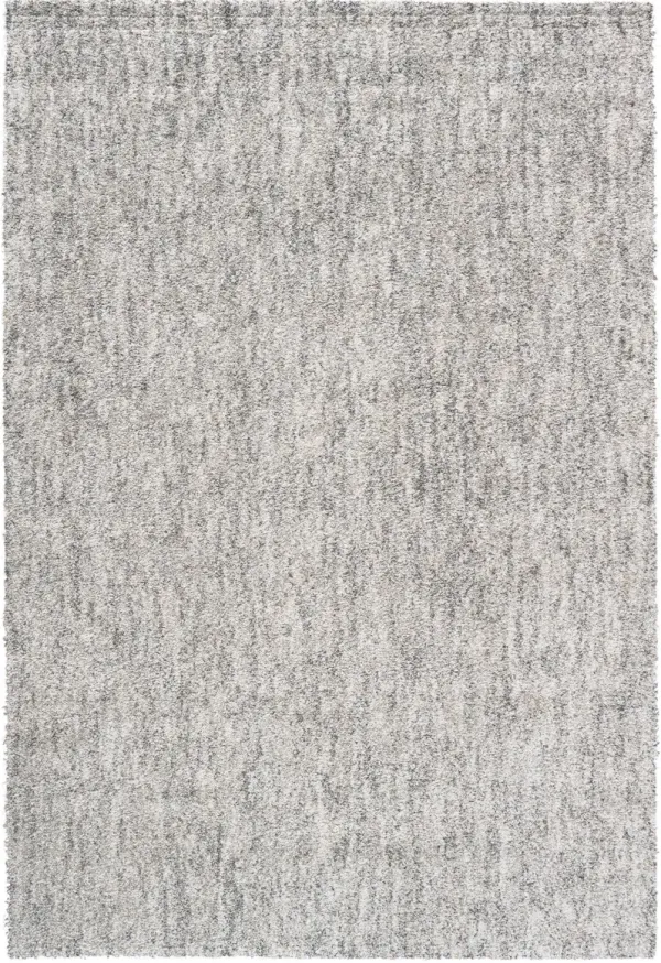 Boyce Shag Area Rug - 5' x 8'   Ivory/Gray
