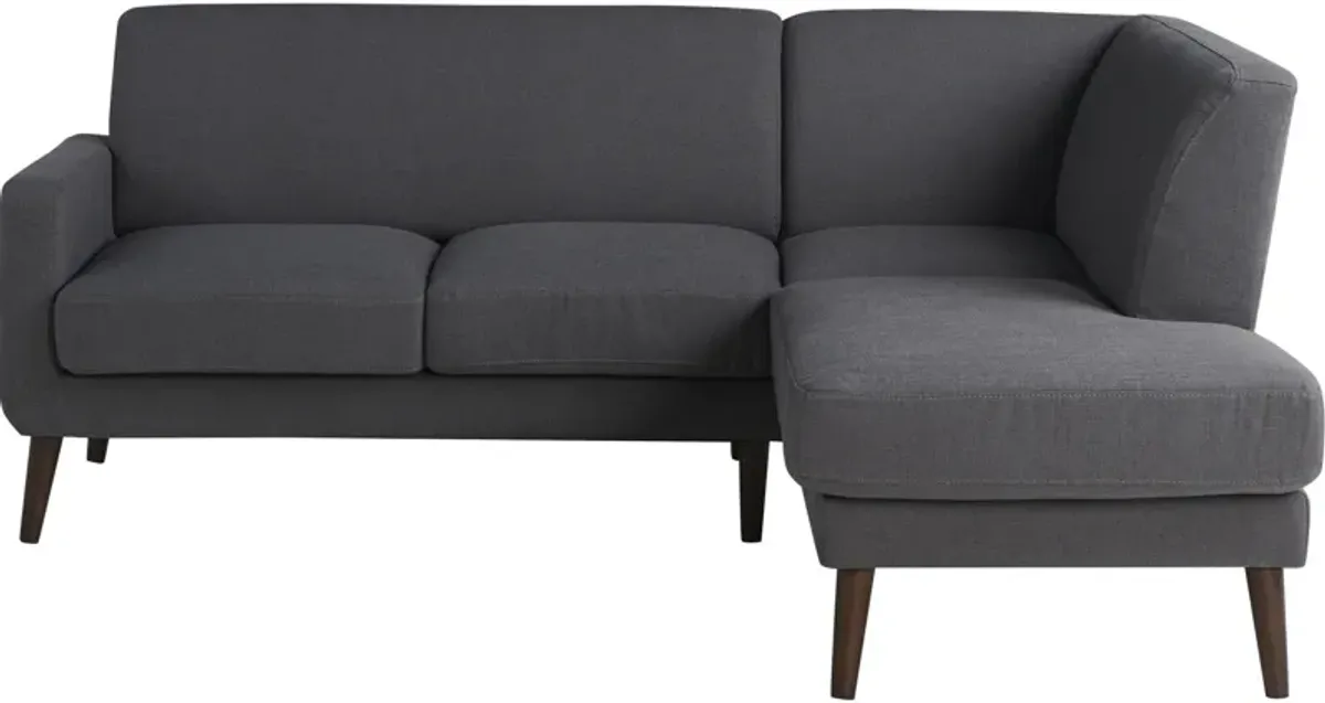 Cruz 2-Piece Sectional - Gray