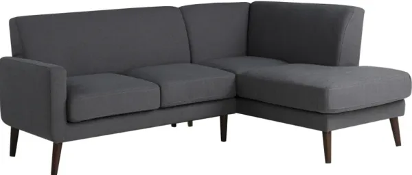 Cruz 2-Piece Sectional - Gray
