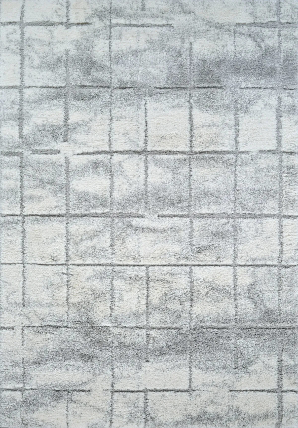 Soryn 5' x 8' Area Rug - Gray and White