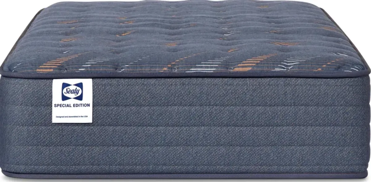 Sealy Special Edition Weston Lane Twin Mattress - Firm