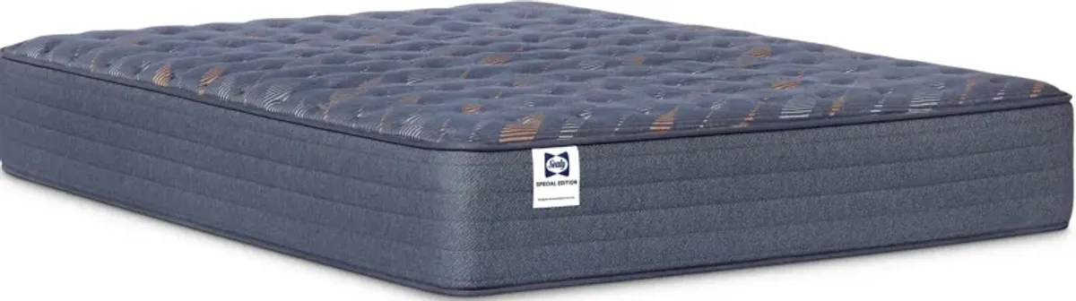 Sealy Special Edition Weston Lane King Mattress - Firm