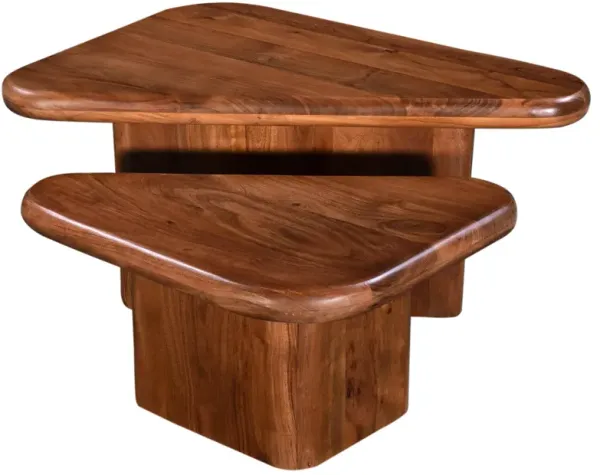 Ashra 2-Piece Coffee Table Set