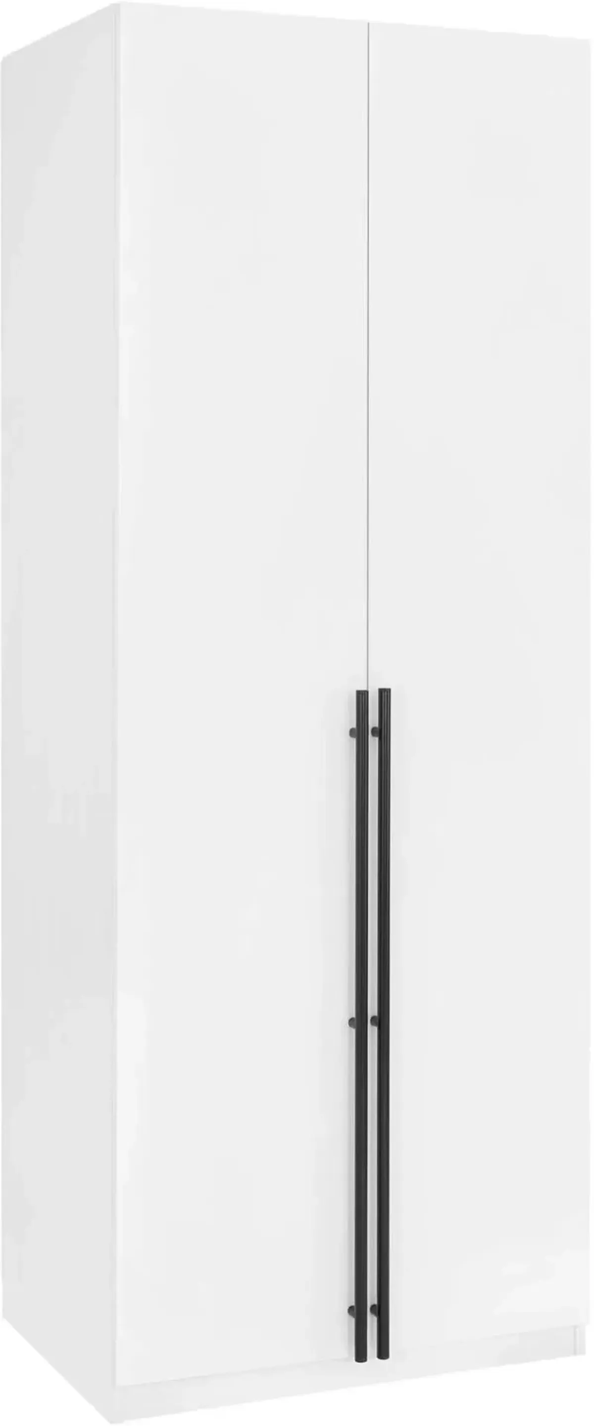 Rian Wardrobe Closet with 1 Hanging Rod, 1 Shelf, and 2 Drawers - White