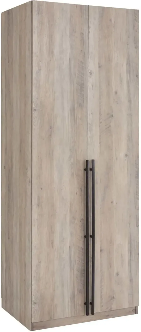 Rian Wardrobe Closet with 1 Hanging Rod, 3 Shoe Shelves, and 1 Basic Shelf - Gray