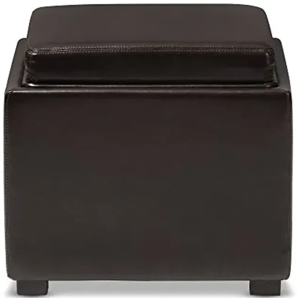 BAXTON STUDIO DARK BROWN TATE STORAGE OTTOMAN