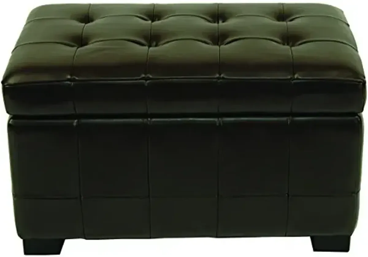 Safavieh Hudson Collection NoLIta Brown Leather Small Storage Bench