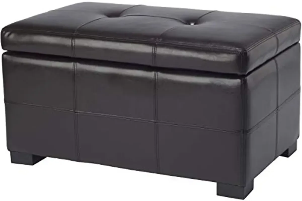 Safavieh Hudson Collection NoHo Tufted Brown Leather Small Storage Bench