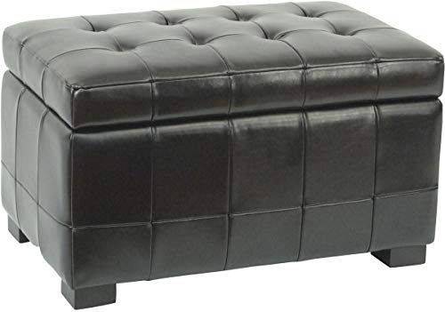 Safavieh Small Manhattan Storage Bench, Black