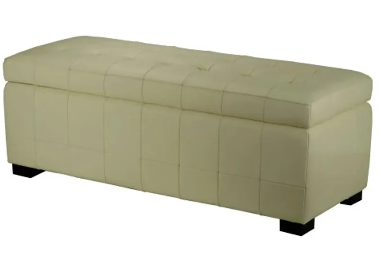 Safavieh Hudson Collection Nolita Leather Large Storage Bench, Off-White