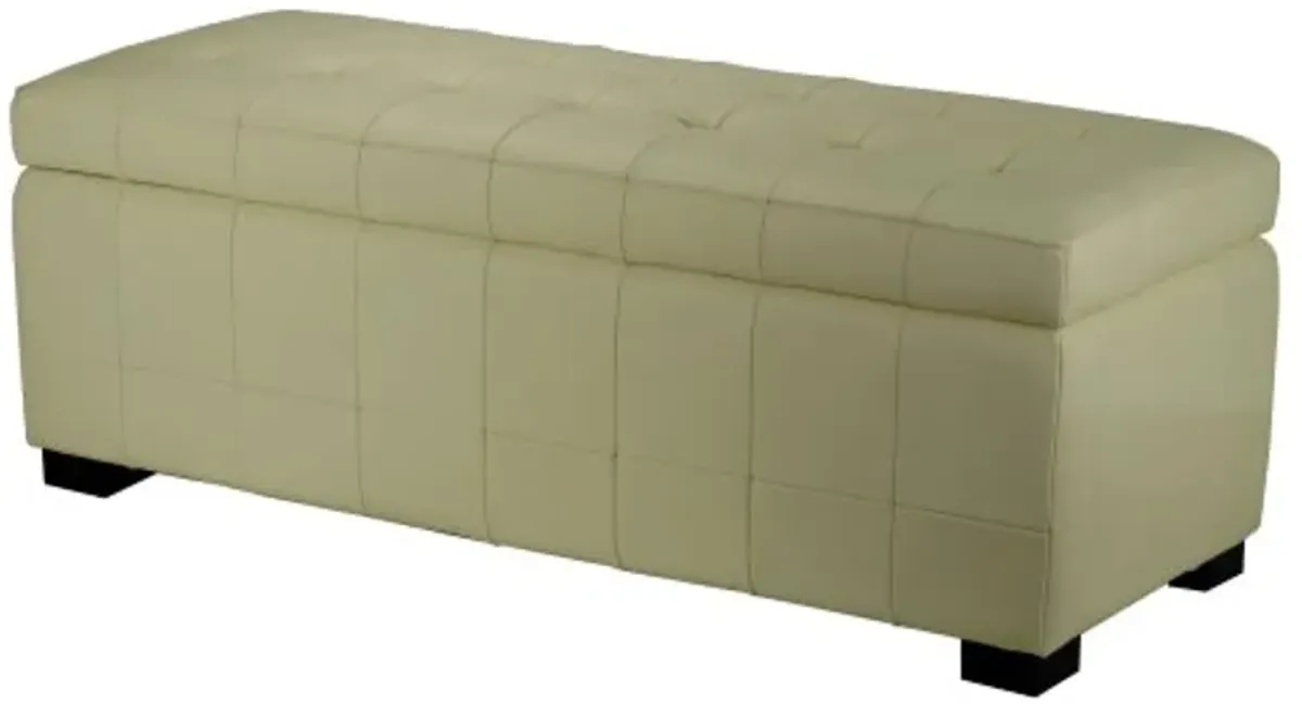 Safavieh Hudson Collection Nolita Leather Large Storage Bench, Off-White