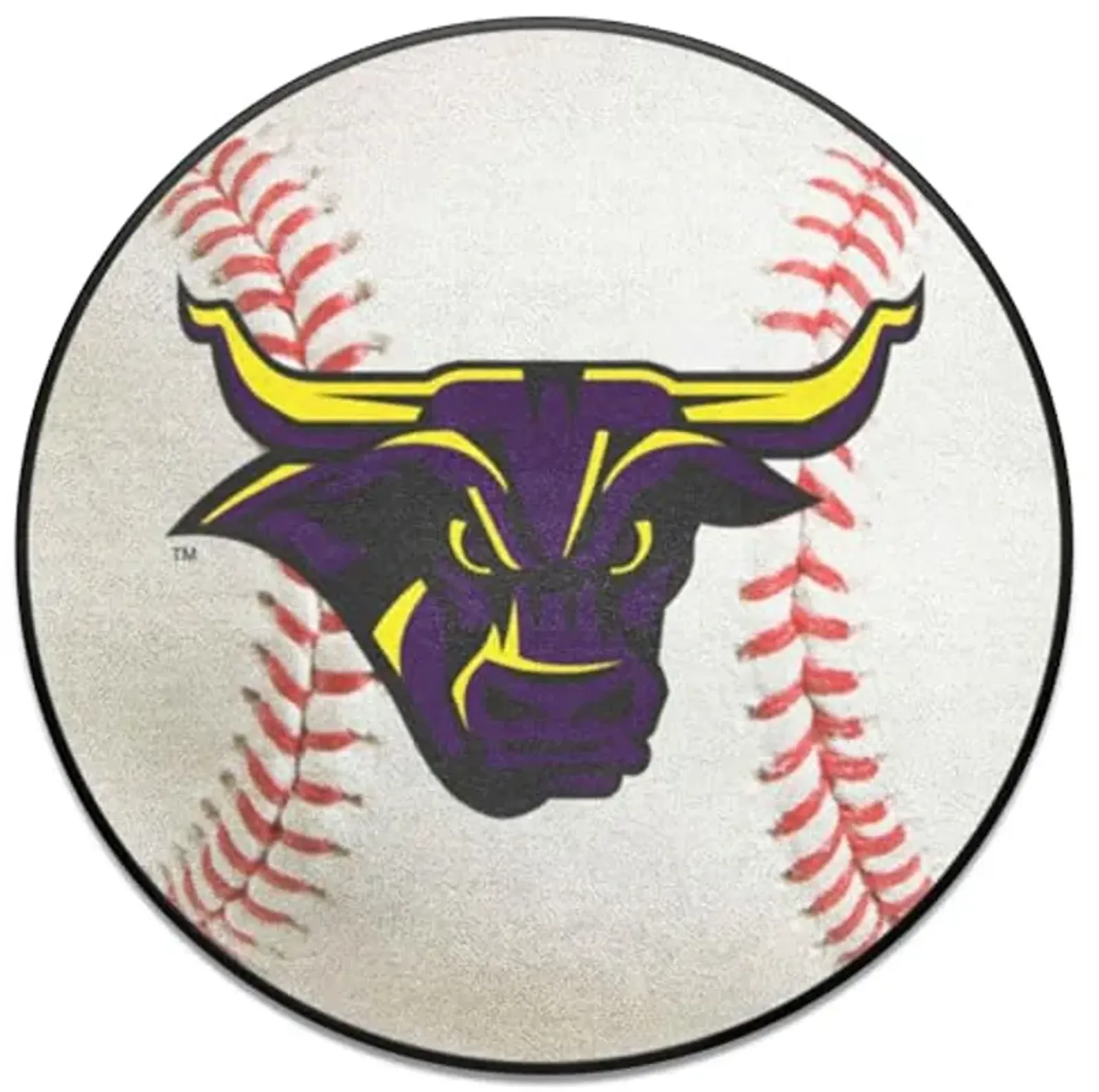 FANMATS 112 Minnesota State - Mankato Mavericks Baseball Shaped Accent Rug - 27in. Diameter