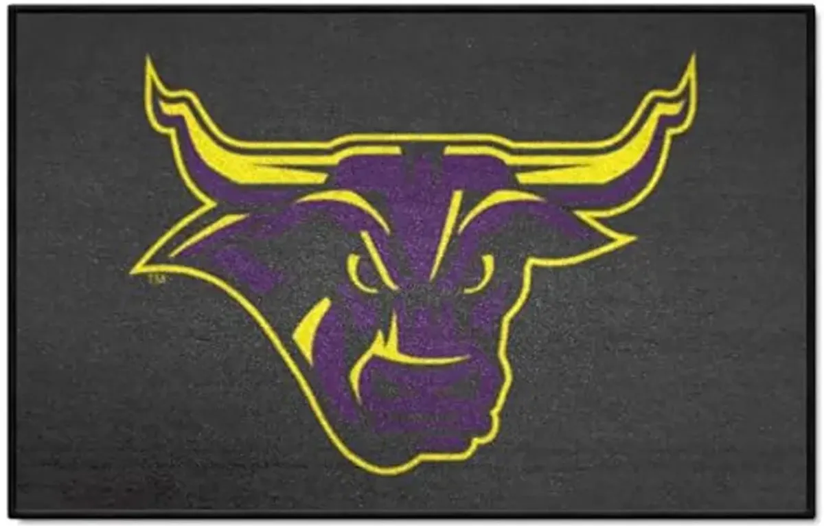 FANMATS 115 Minnesota State - Mankato Mavericks Starter Mat Accent Rug - 19in. x 30in. | Sports Fan Home Decor Rug and Tailgating Mat