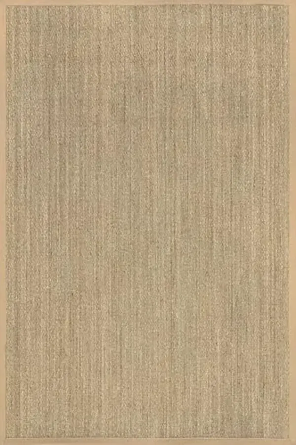 nuLOOM Elijah Seagrass Natural Area Rug, 8' x 10', Beige