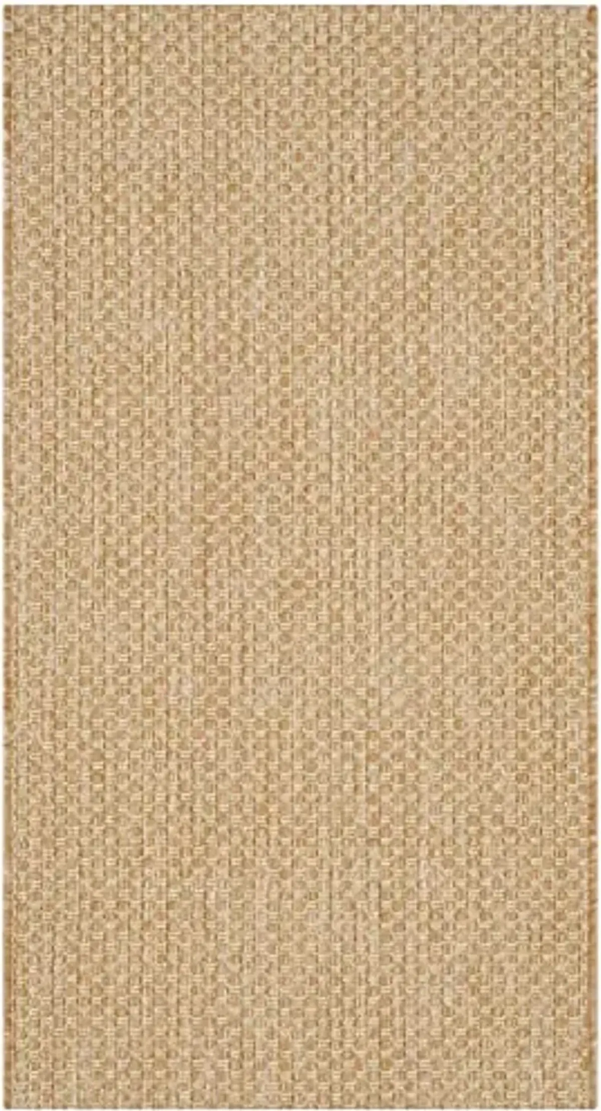 SAFAVIEH Washable Rug Outdoor Courtyard Collection - 2' x 3'7", Natural & Cream, Non-Shedding & Easy Cleaning, Ideal for Patio, Front Door, Entryway, Doormat (CY8521-03012)