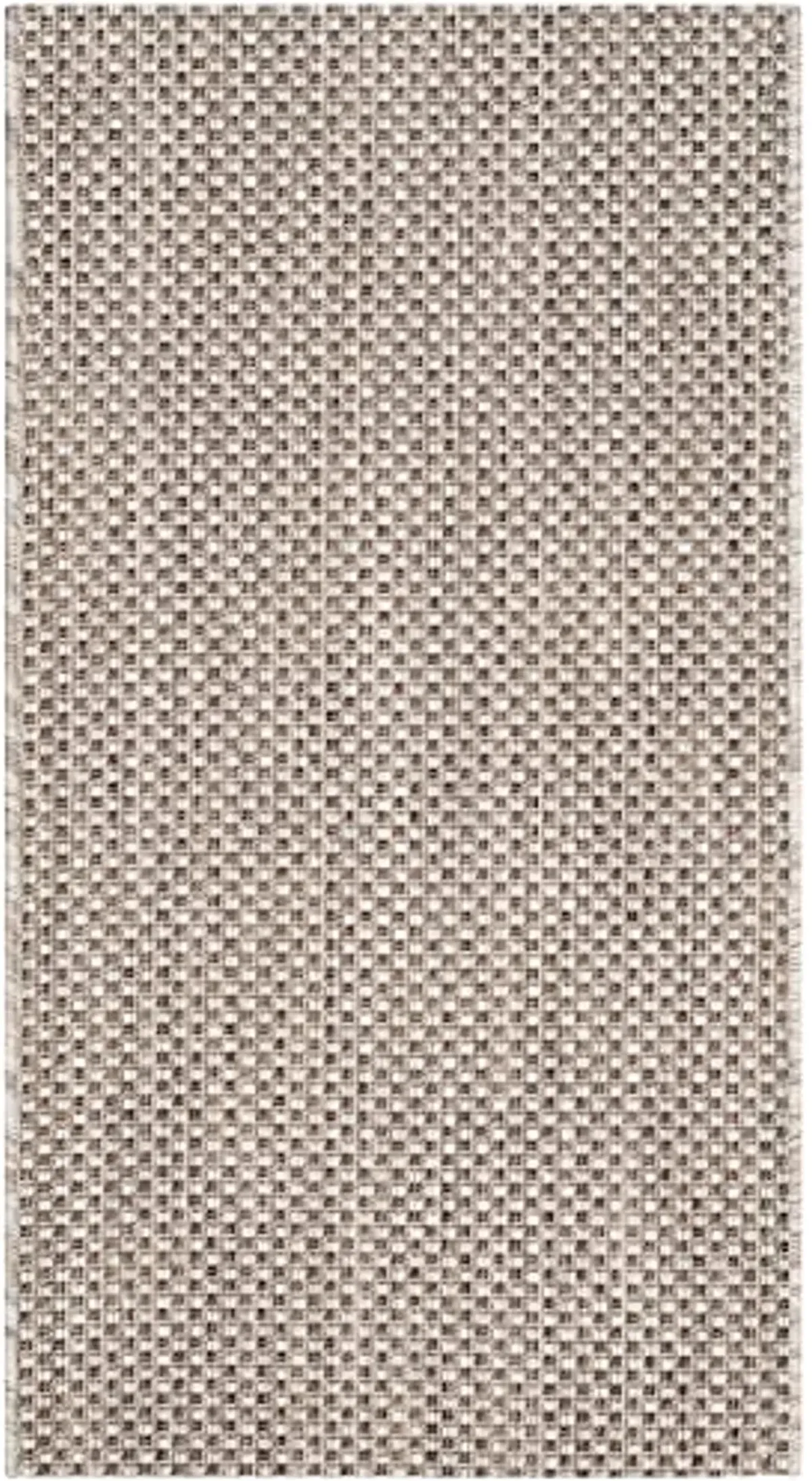 SAFAVIEH Courtyard Collection Accent Rug - 2' x 3'7", Beige & Brown, Non-Shedding & Easy Care, Indoor/Outdoor & Washable-Ideal for Patio, Backyard, Mudroom (CY8521-36312)